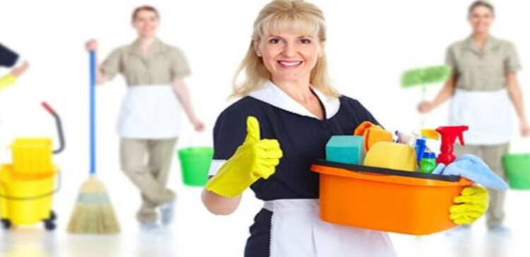 Seek Help From Professionals For Cleaning Your Home