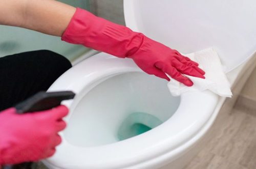 toilet deep cleaning